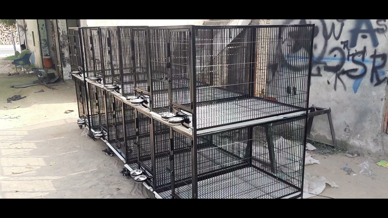 Raw Parrot Breeding Cages Standard Size Price And All Information // MM CAGE MAKER MIANWALI