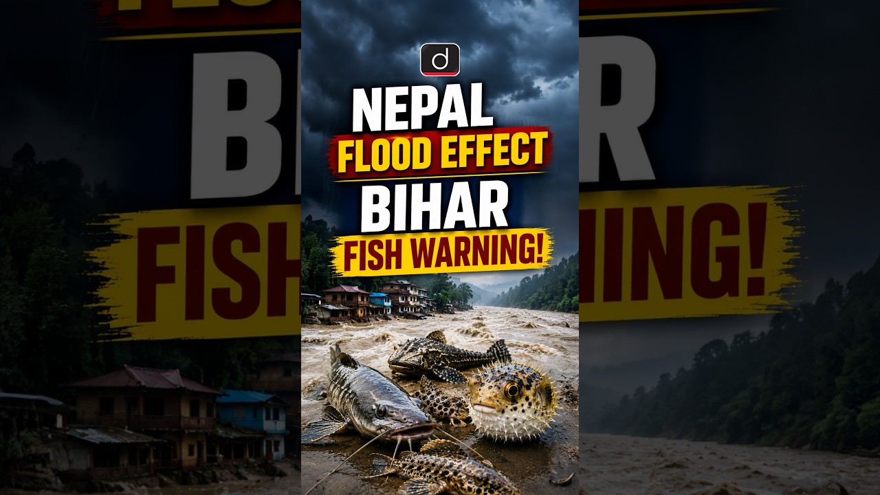 Nepal Floods Bring Unusual Fish to Bihar | Drishti IAS English | #shorts #NepalFlood #Fish