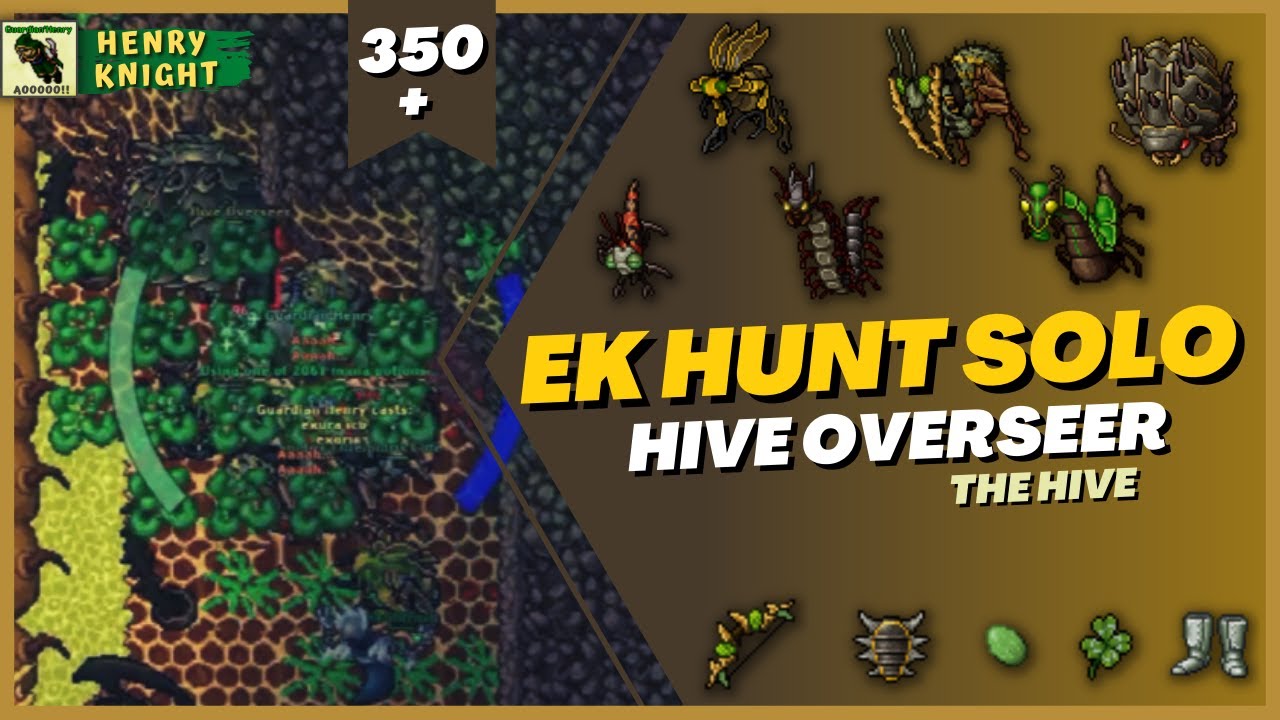 TIBIA: EK HUNT SOLO #9 THE HIVE (HIVE OVERSEERS)