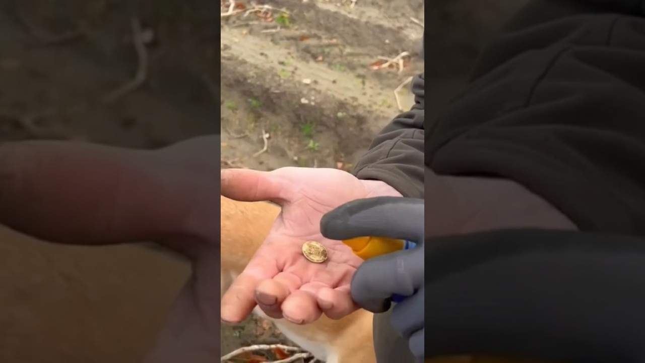 GOLD! Find of a Lifetime Metal Detecting in Scotland