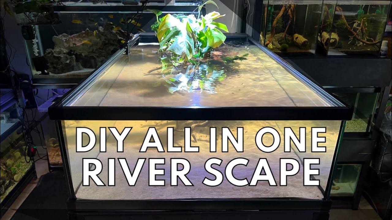 All in one: 50 gallon LOWBOY edition