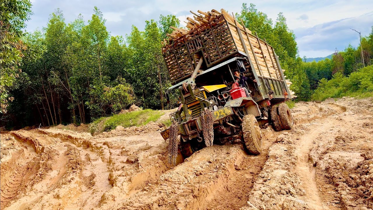 Xe Độ Chở Gỗ 18 Tấn Gỗ Đi Đường Ổ Gà Ổ Voi Rất Nguy Hiểm #xeđộ