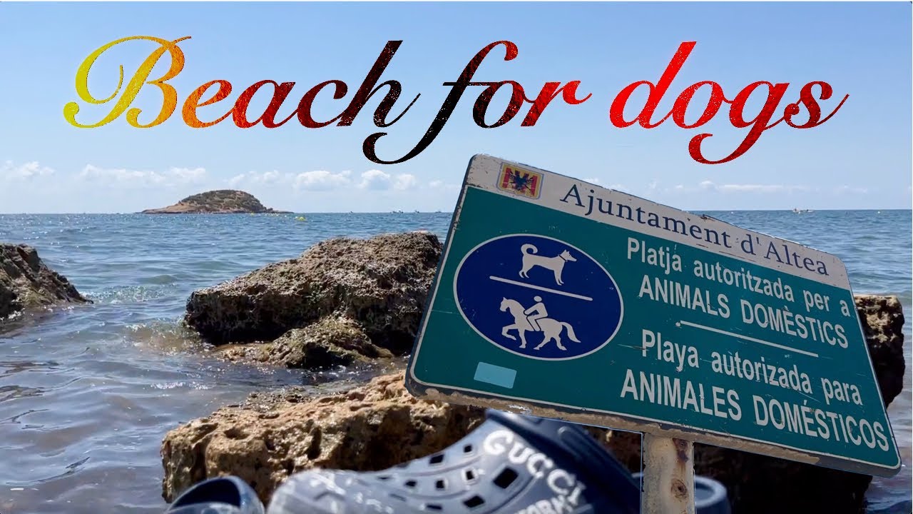 Beach for dogs Dog Friendly Beach in Spain. Playa para mascotas perros