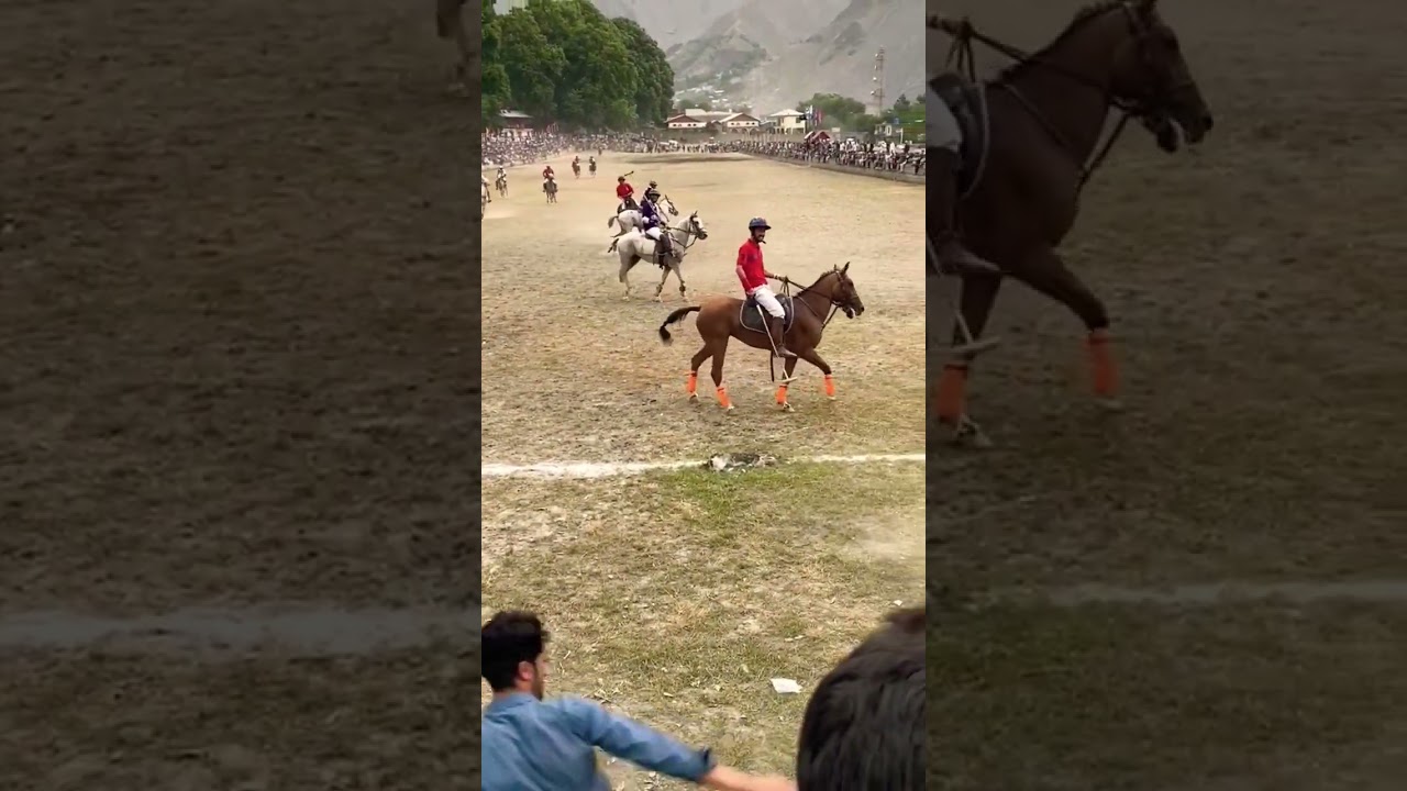 dangerous freestyle polo in Gilgit #gilgitbaltistan #freestyle #polo #horse #viral #tiktok #trending