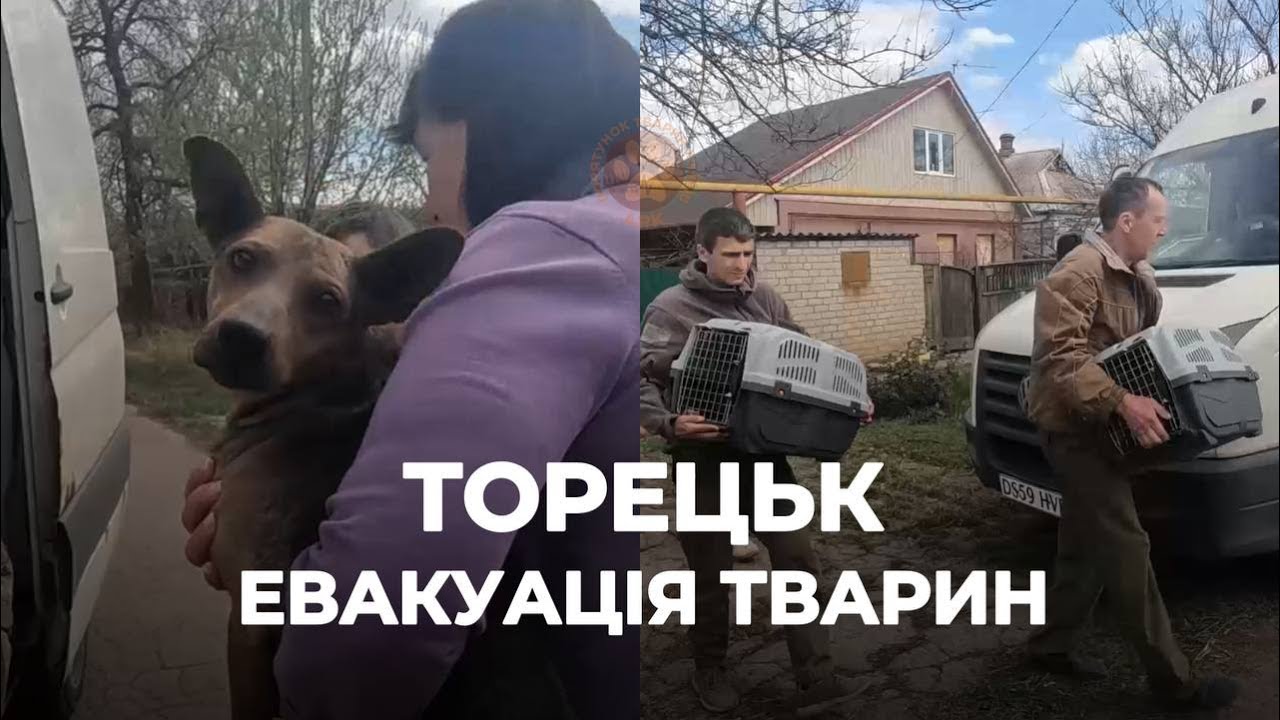 ТОРЕЦЬК | Найкраща модель співпраці для порятунку | Евакуація тварин