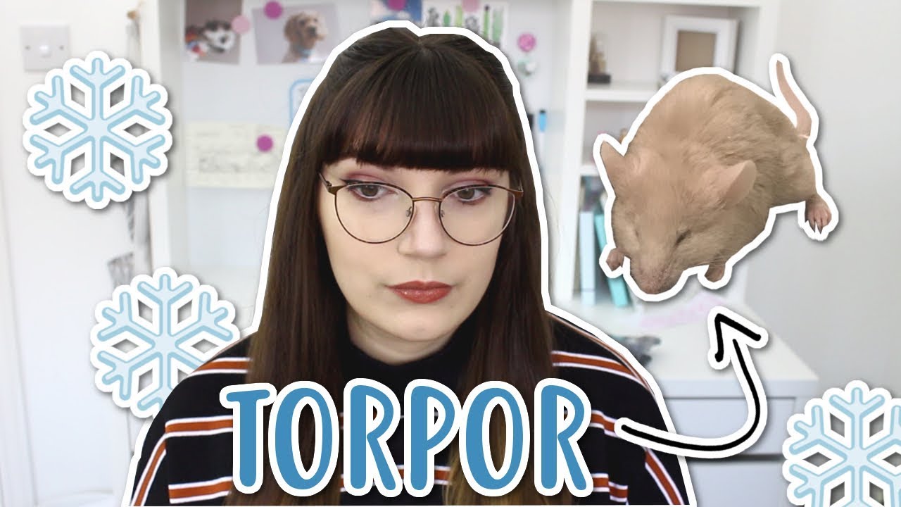 Она могла умереть... | Оцепенение у мышей