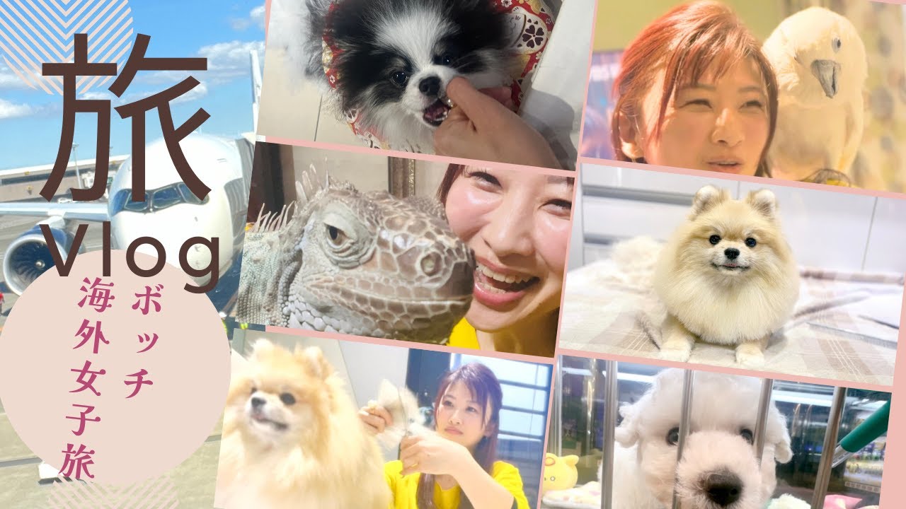 トリマーはハサミ1本で生きていけるか？ いざ！度胸試し【海外お出かけVlog】