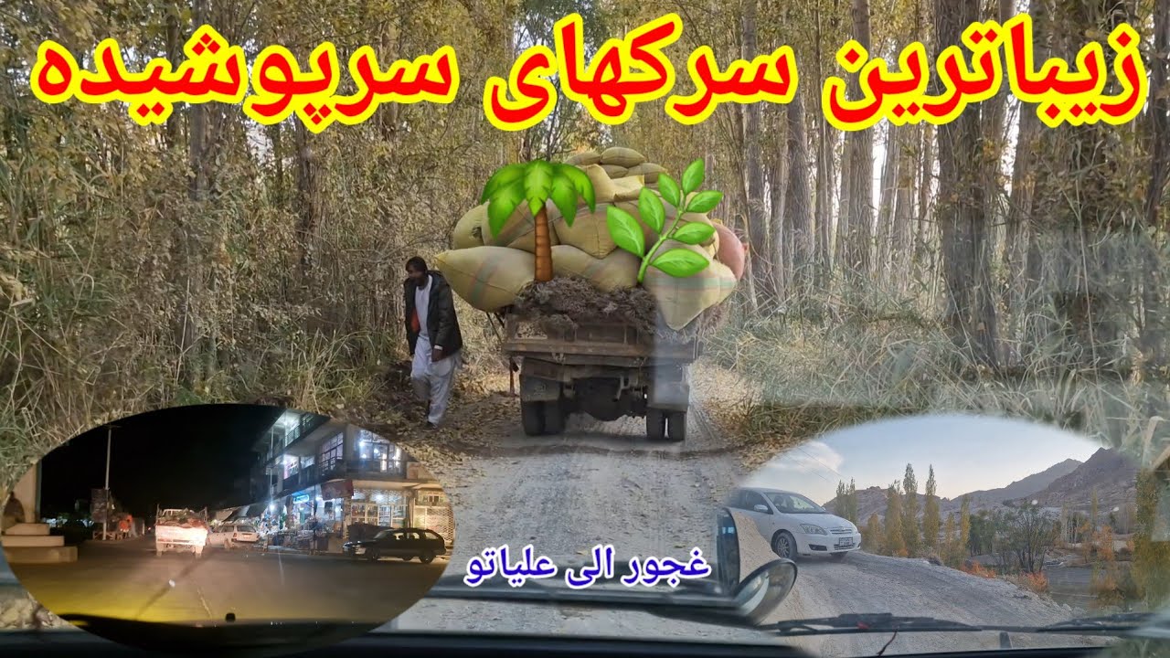 غجور تا علیاتو»«سرزمین سبز میان کوه و درخت؛