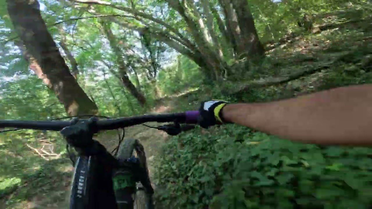 Mtb Lucca - Pungitopo e Castelpasserino