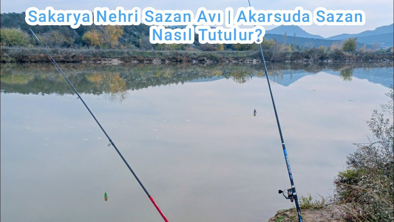 Sakarya Nehri Sazan Avı | Akarsuda Sazan Nasıl Tutulur?