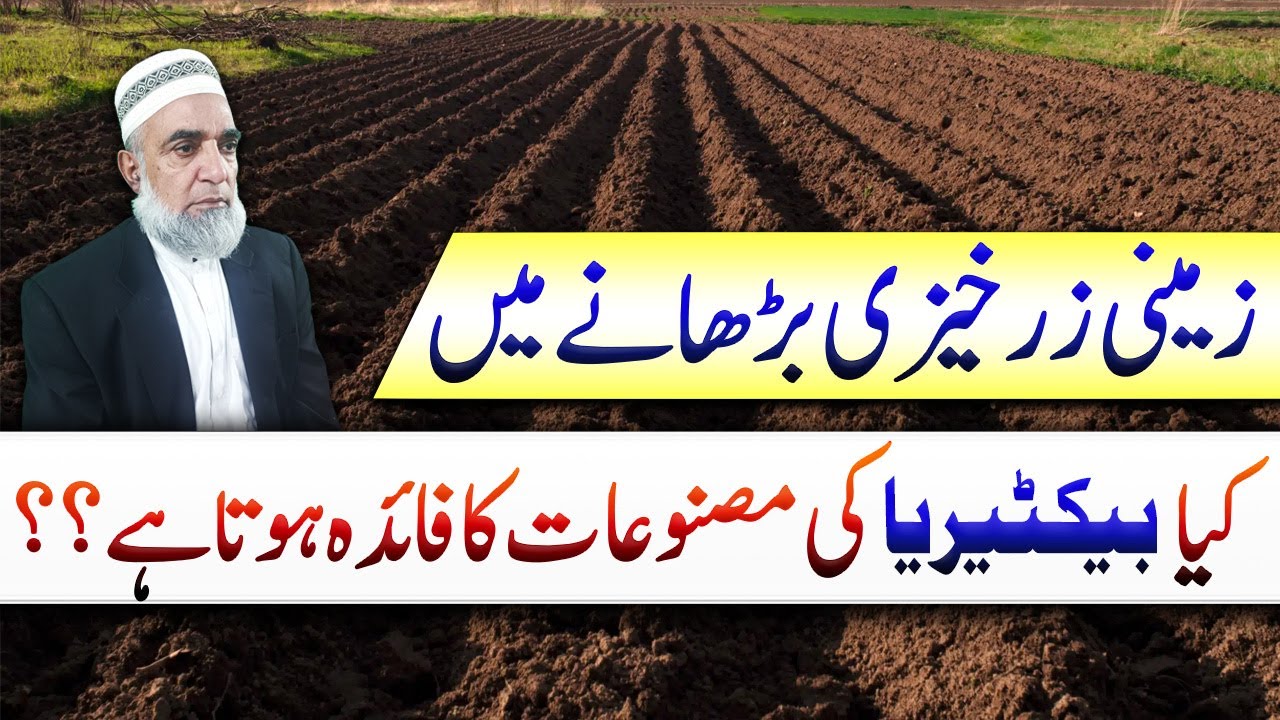 Status of  Microbial products for improving soil health and fertiliser efficiency || Crop Reformer