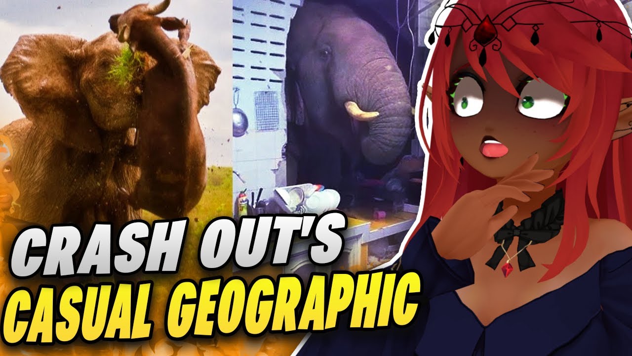WILDEST ANIMAL CRASH OUT’S !! | Casual Geographic Reaction