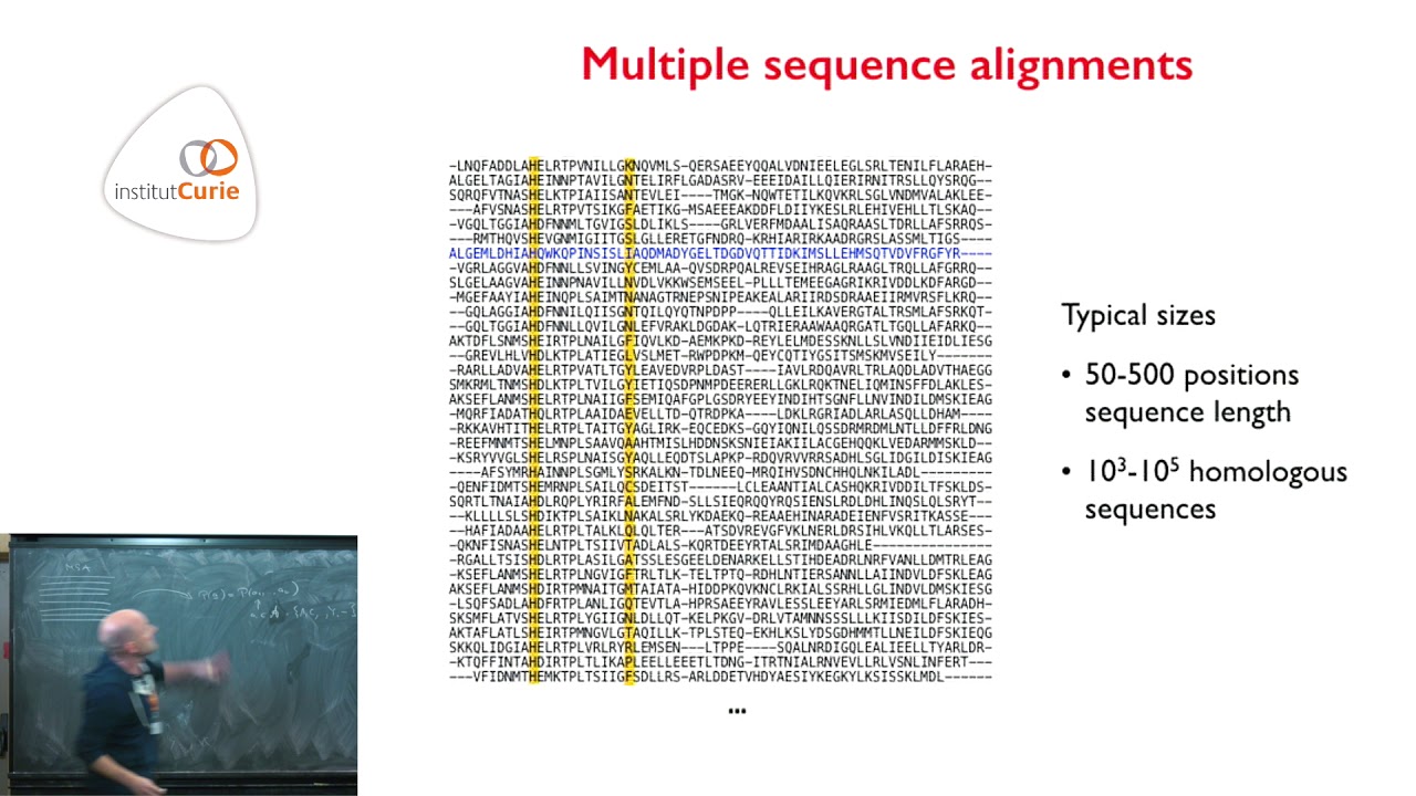 Coevolutionary analysis of proteinprotein interactions - Martin Weigt