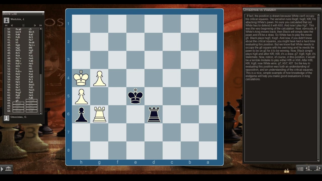 Josh Waitzkin's Academy - Endgame Course - King and Pawn 2