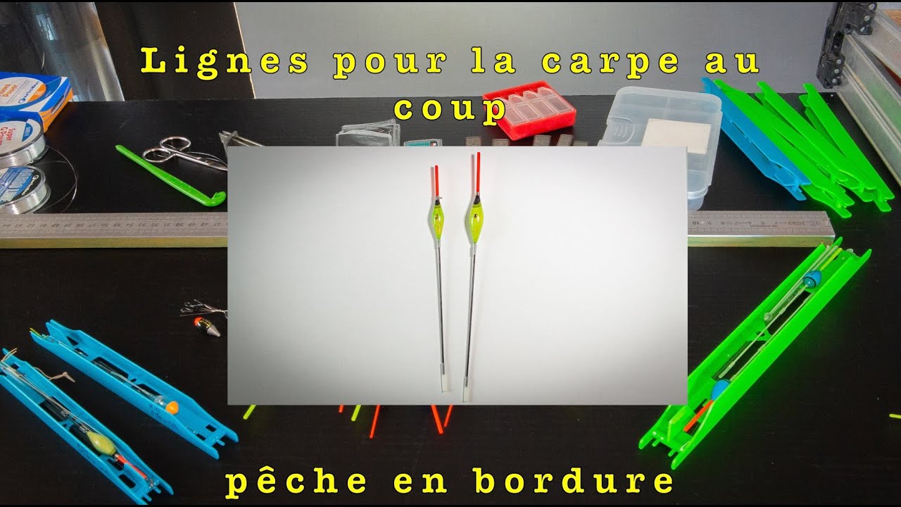 Ligne carpe au coup : pour les pêches de bordures