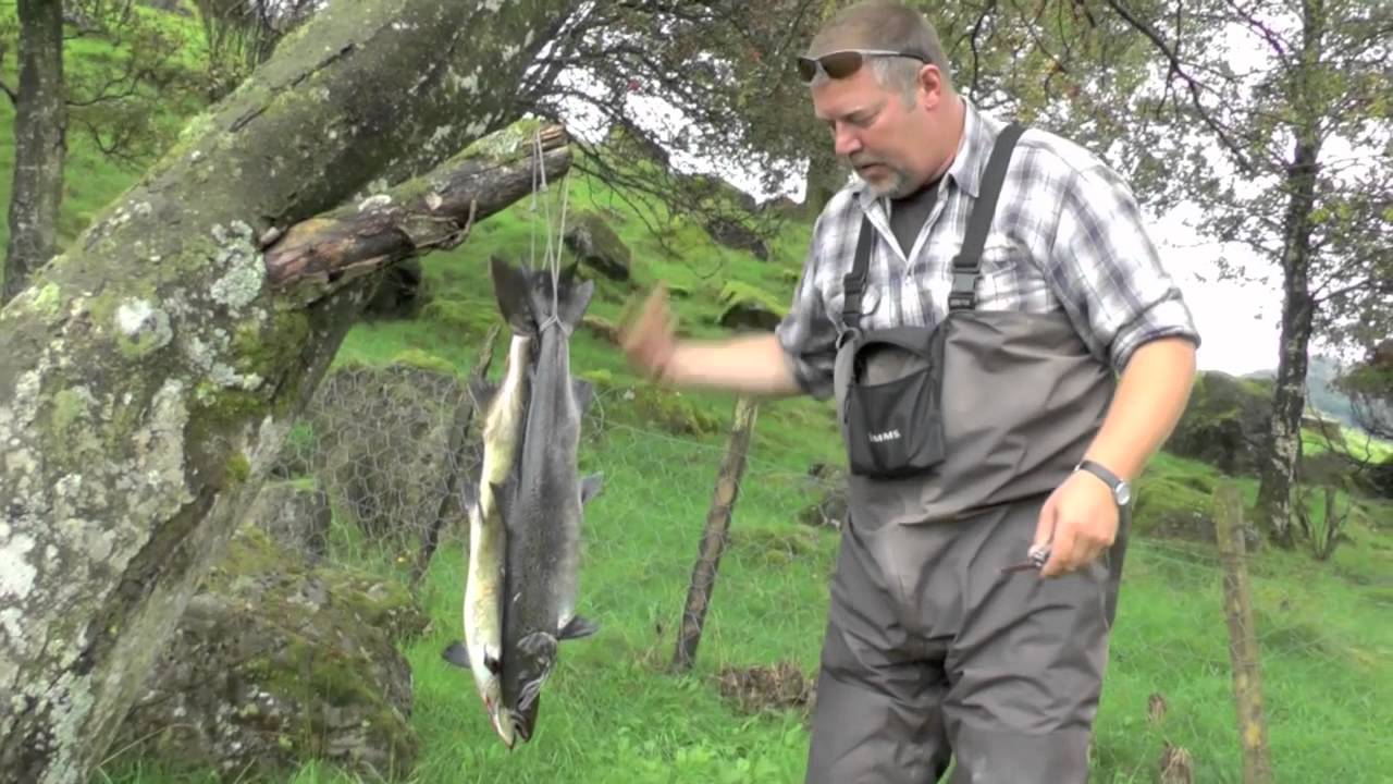 Cova tar deg med på SPORTSFISKE I BJERKREIMSELVA