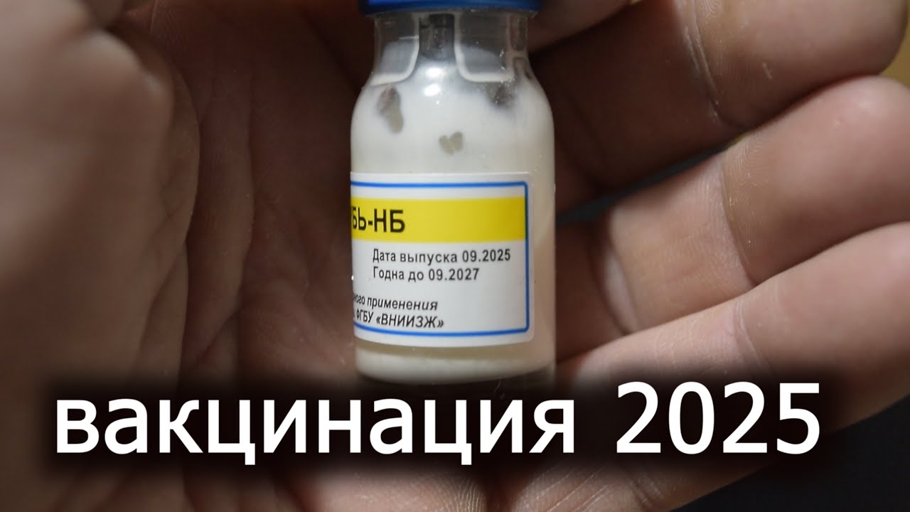 СПАСИТЕ СВИХ ГОЛУБЕЙ ОТ 