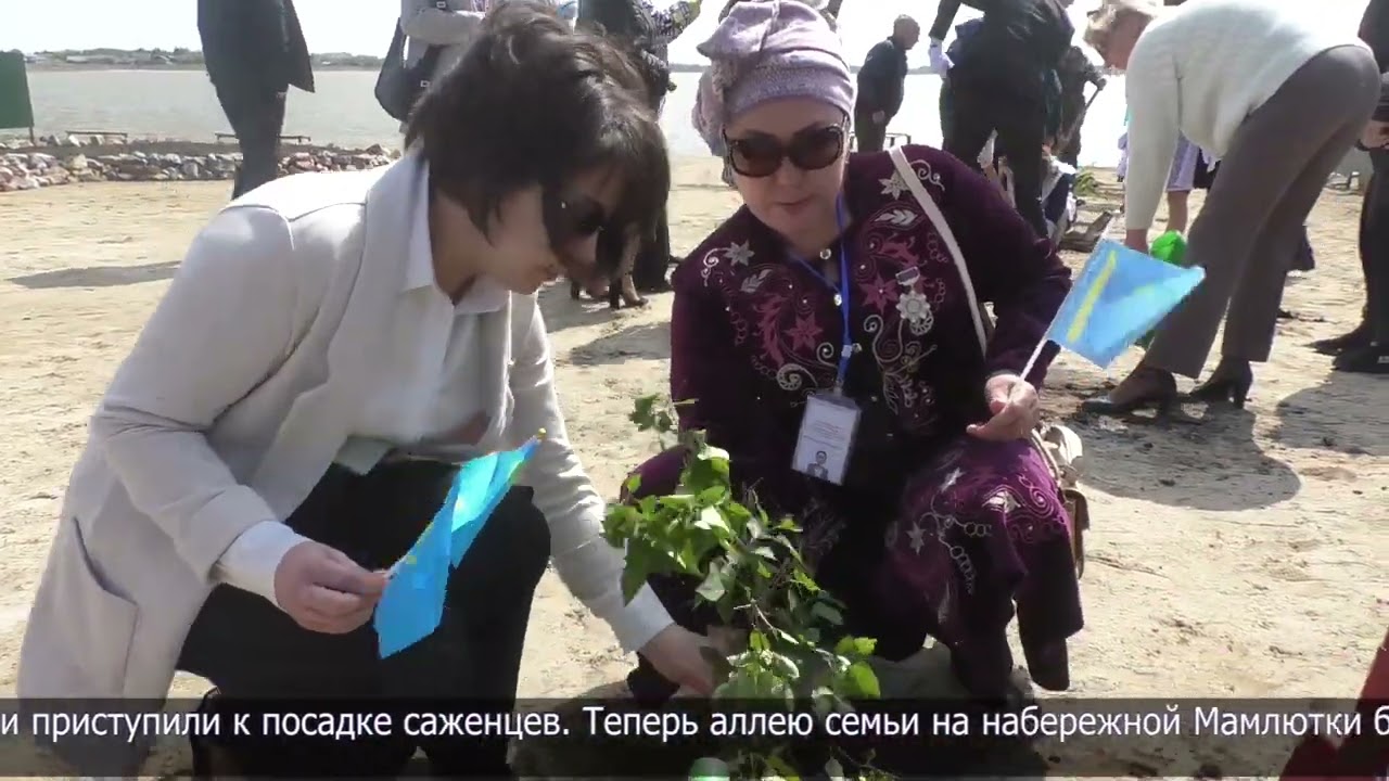 В г.Мамлютке на набережной открыли аллею семьи