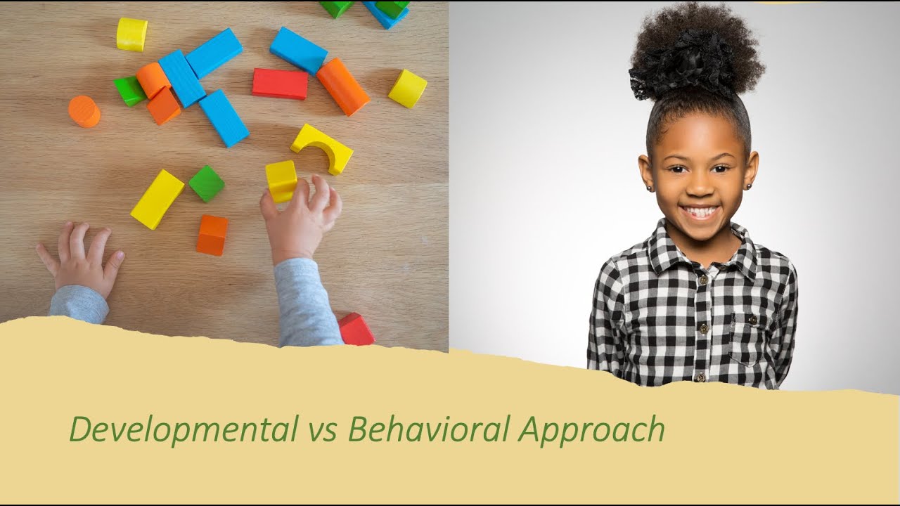 Behavioral or Developmental Approaches to Autism Intervention
