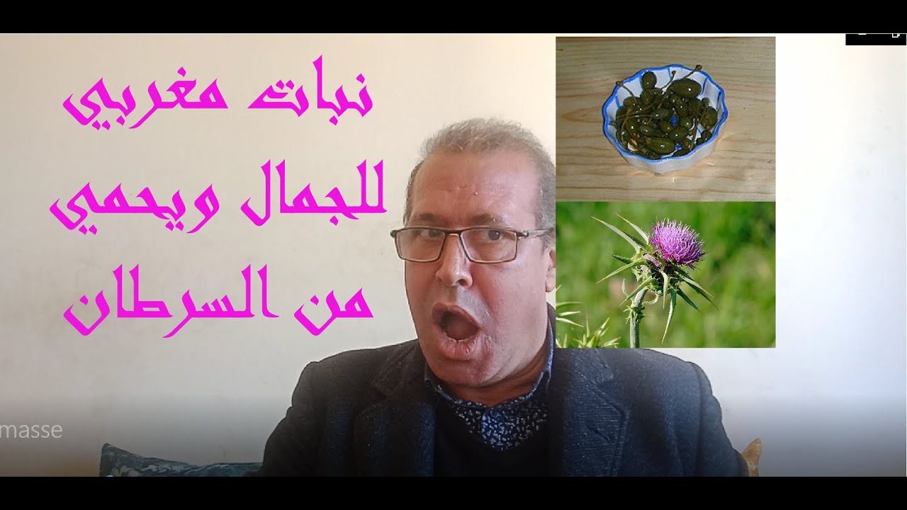 نبات مغربي للجمال ويحمي من السرطان