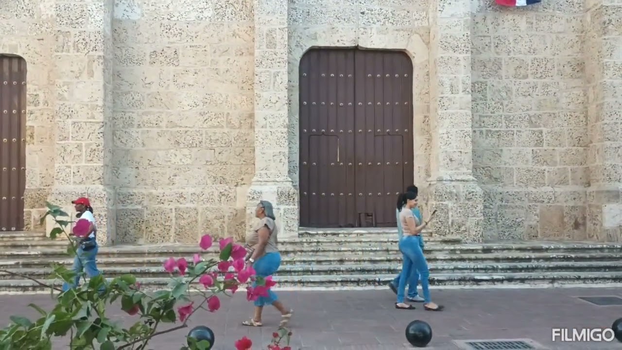 Perico 🦜 Ripiao en la zona colonial de Santo Domingo RD 