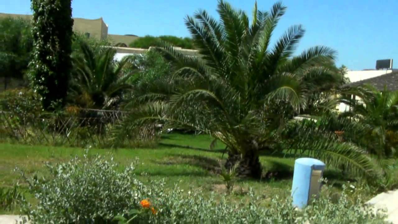Caribbean World Borj Cedria & Sunny hotel 2011