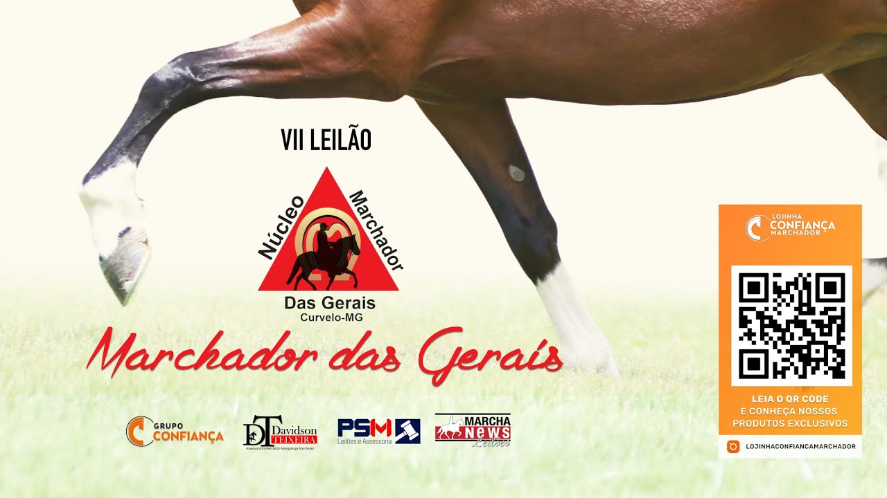 VII Leilão Marchador das Gerais