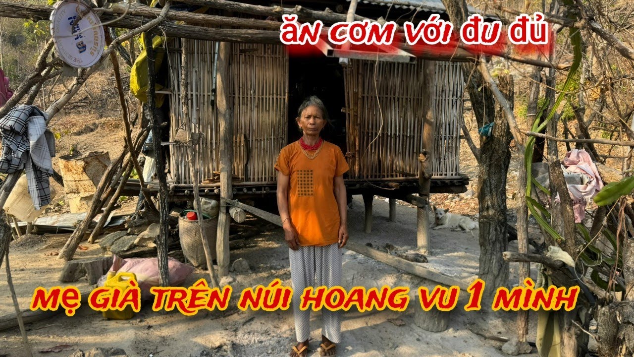 MẸ GIÀ ở 1 mình trên núi cao VẮNG VẺ thiếu GẠO, ăn đu đủ thường xuyên /171