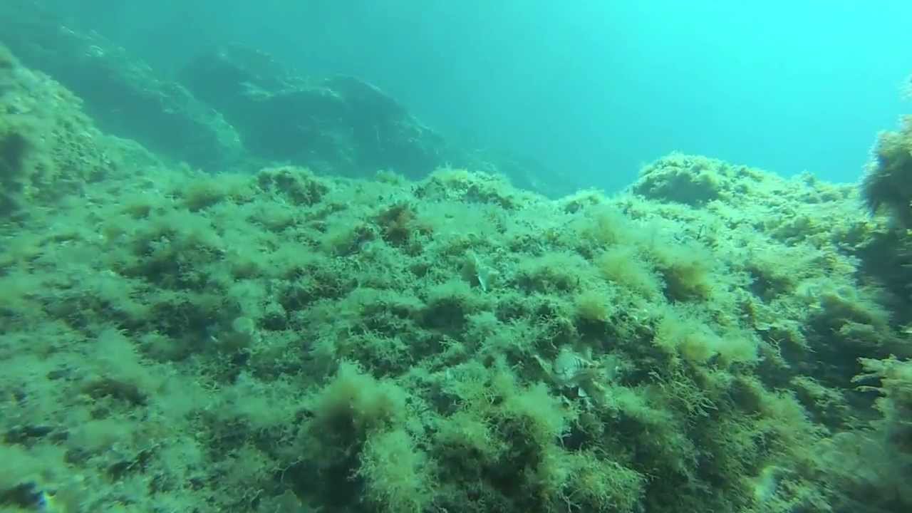 Mar Mediterraneo: le bellezze dei suoi fondali