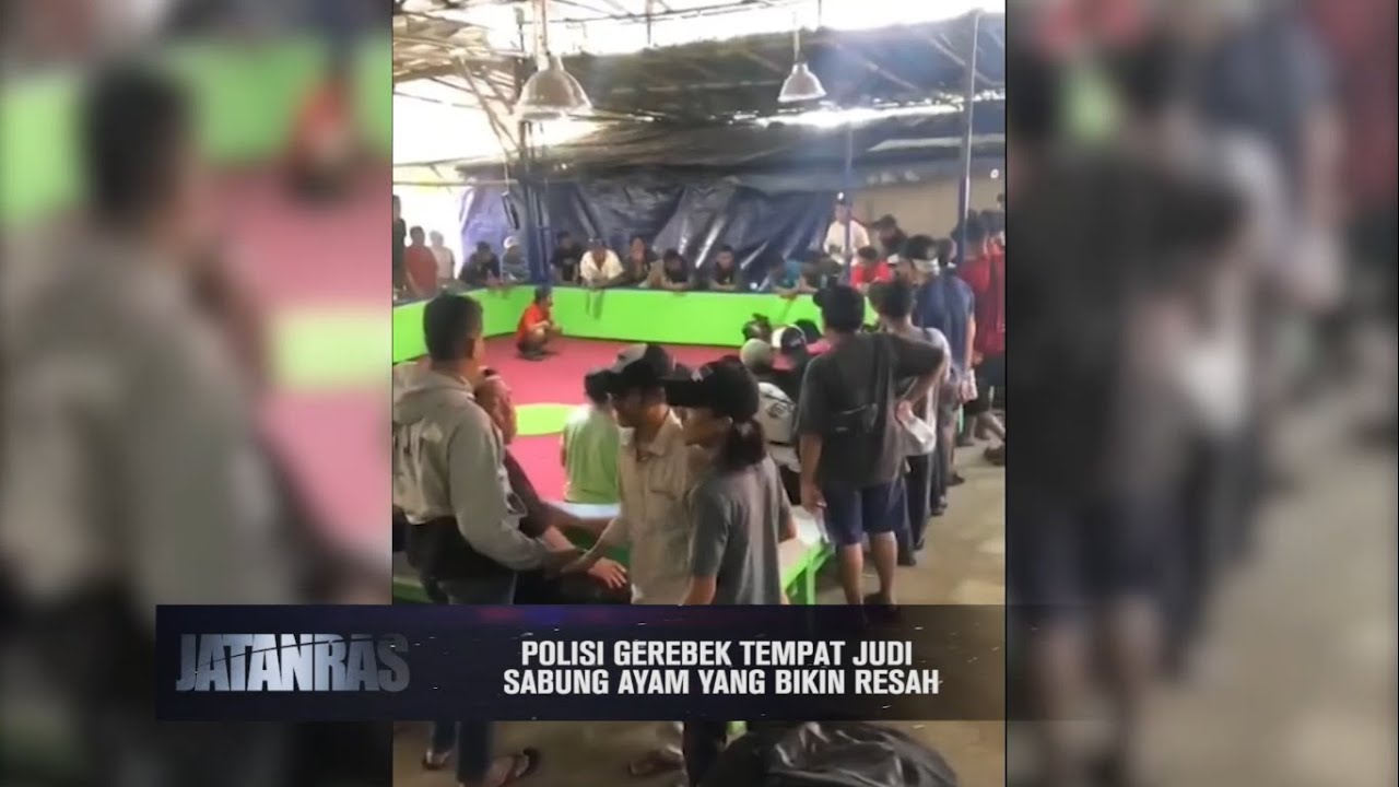 Polisi Gerebek Tempat Judi Sabung Ayam Yang Bikin Resah Di Jakarta - JATANRAS