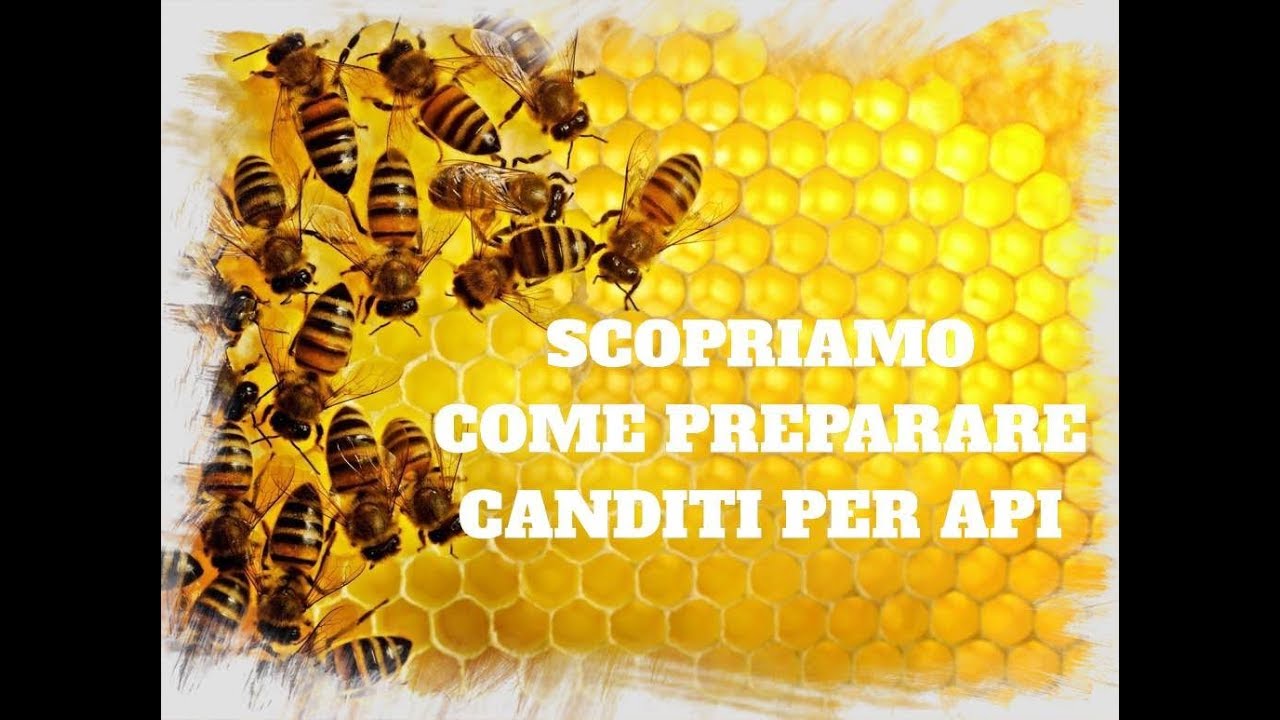 COME PREPARARE CANDITI PER API CON RISULTATO GARANTITO