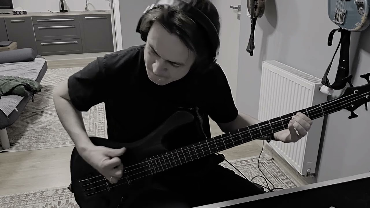 Alice in chains - Check my brain (bass cover)