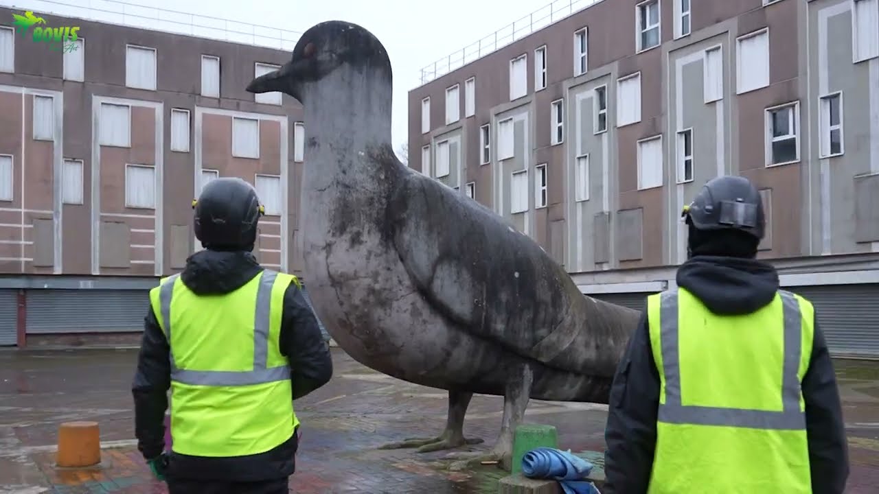 Levage et transport de deux sculptures monumentales de pigeons &agrave; Grigny (91)