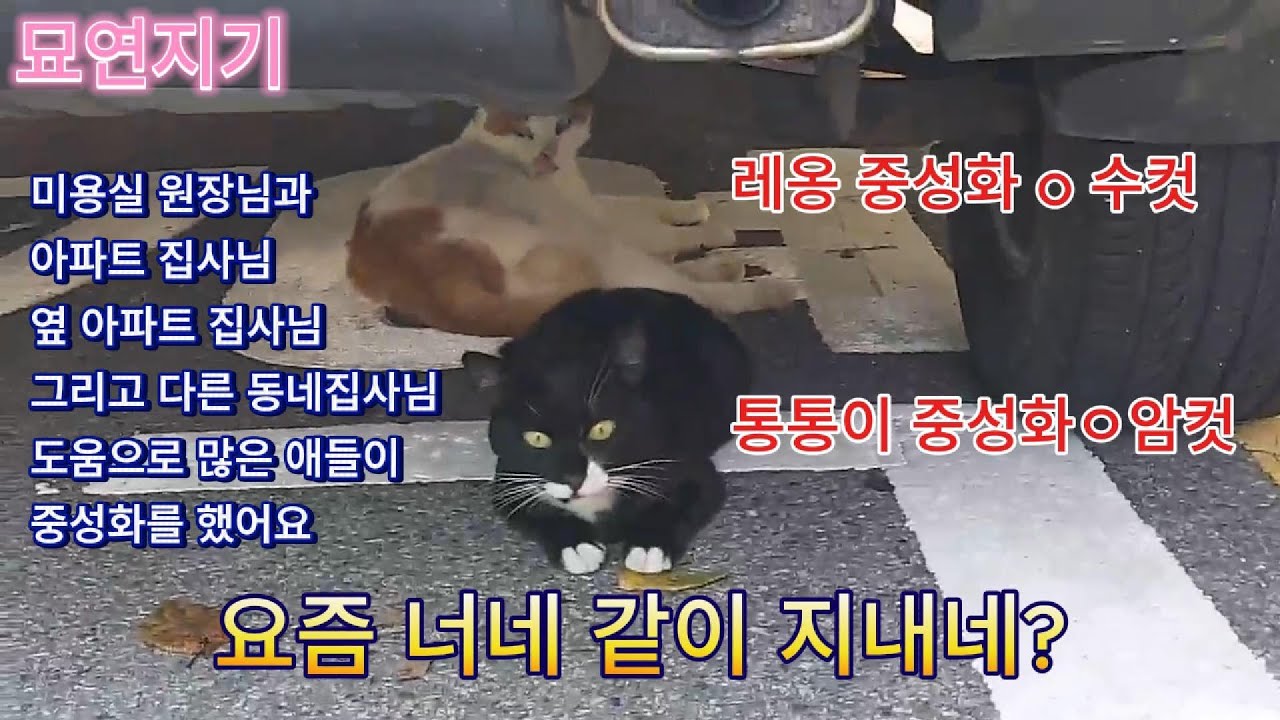 아저씨 일 줄어서 너네 만날 시간이 늘었어 : )