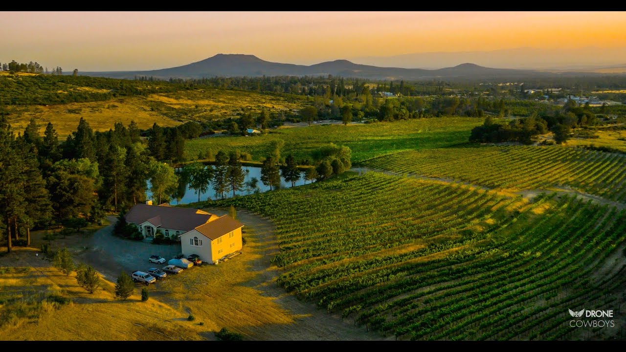 California Ranches/Vineyards For sale |  Amazing Alger Vineyards, Tehama County California