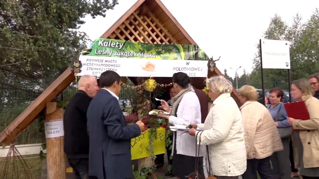 I Święto Lasu - Kalety Ichtiopark 2016