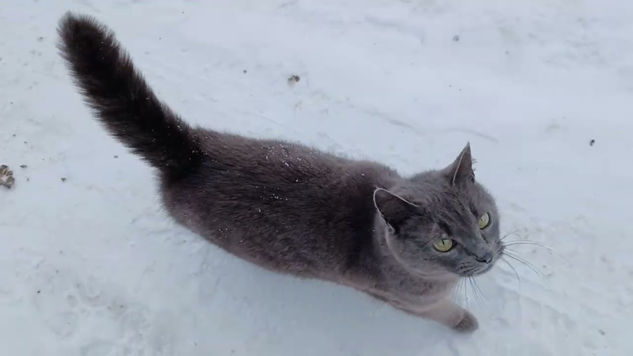 УДАЧИ💕ДОБРА💕🎄🎄