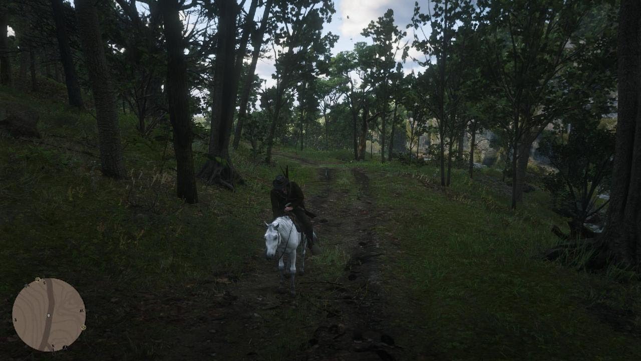 Red Dead Redemption 2_20260106224042