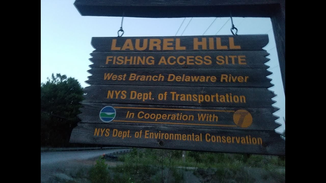 Wading The West Branch Of Delaware Sulphur Hatch Summer Time
