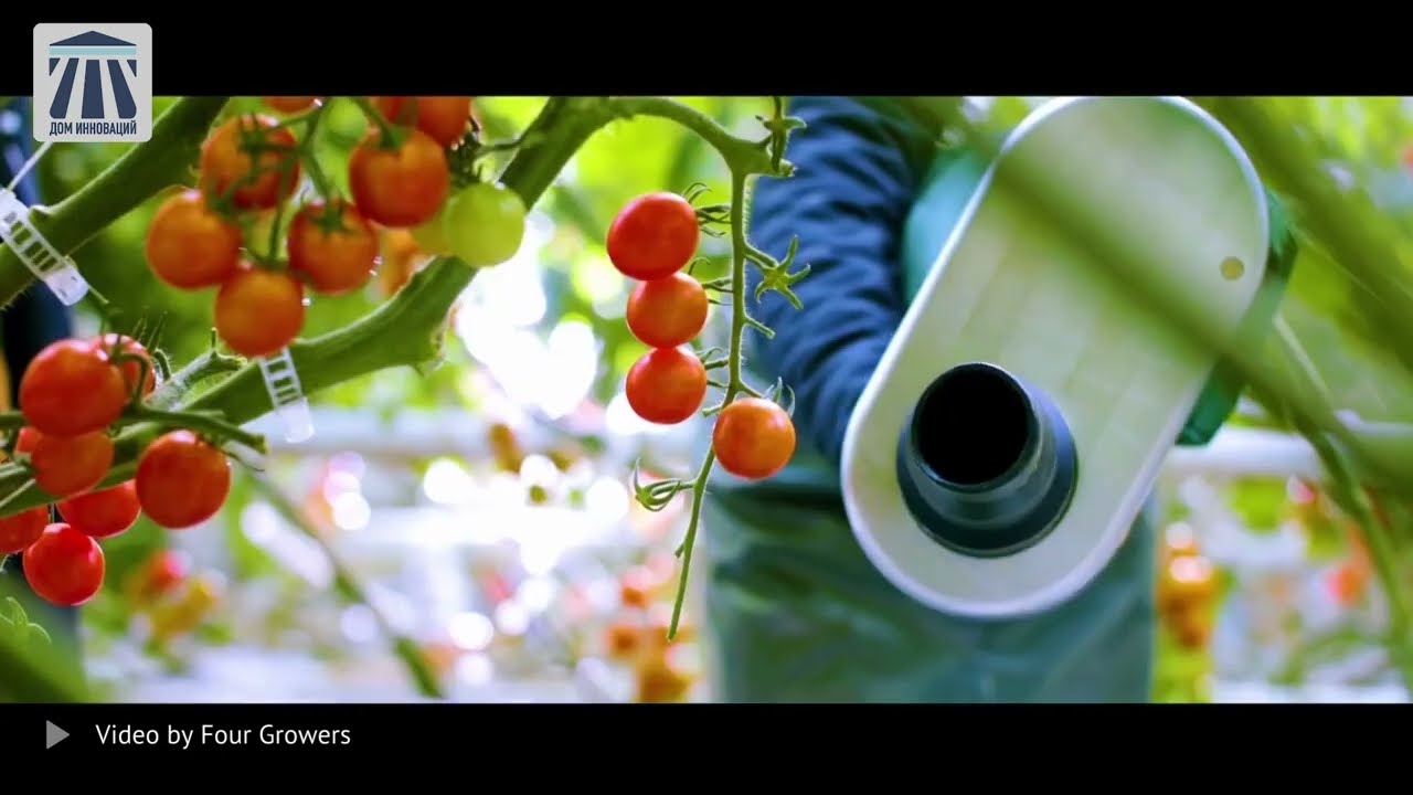 22 Innovation from Four Growers (House of Innovation)