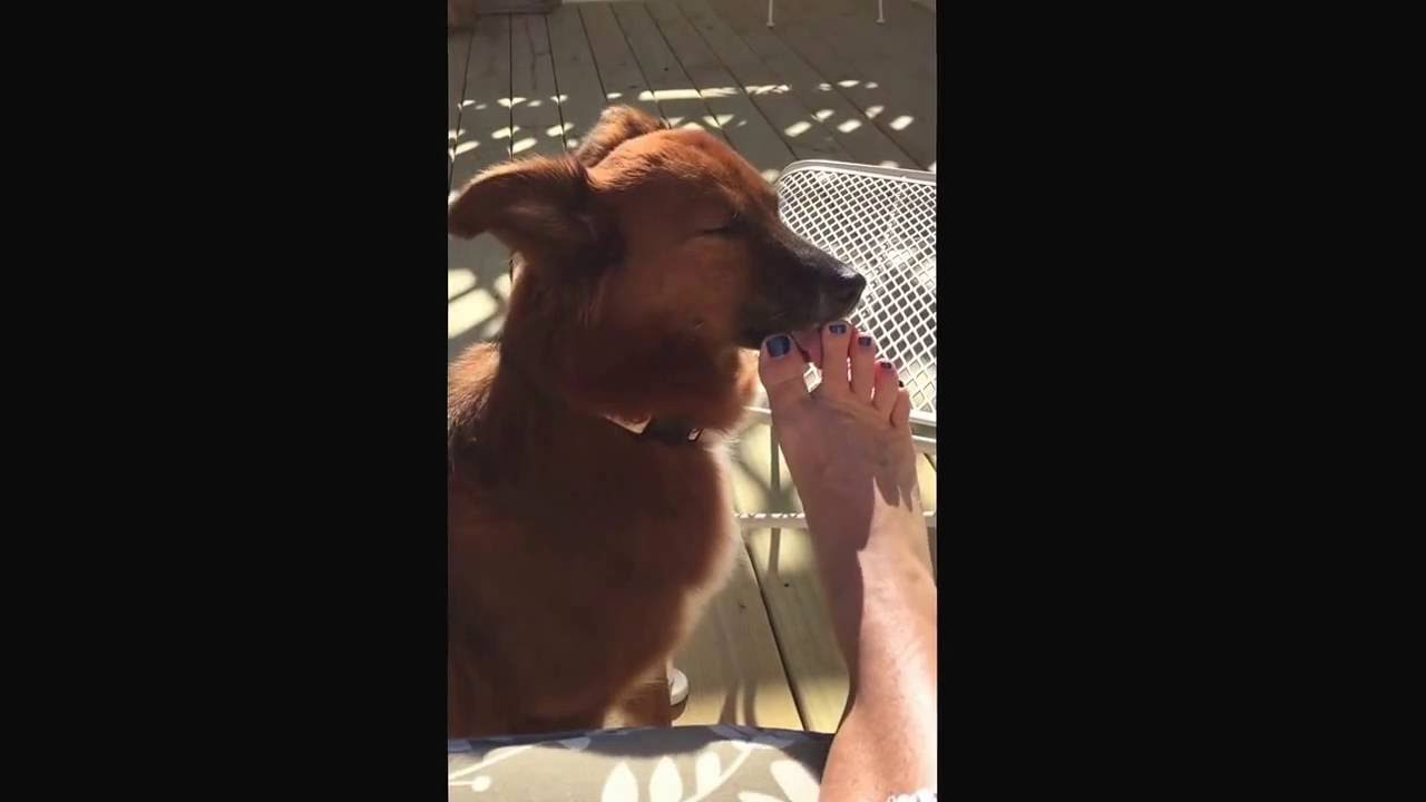 Getting a foot bath from Lou. Nov 2016