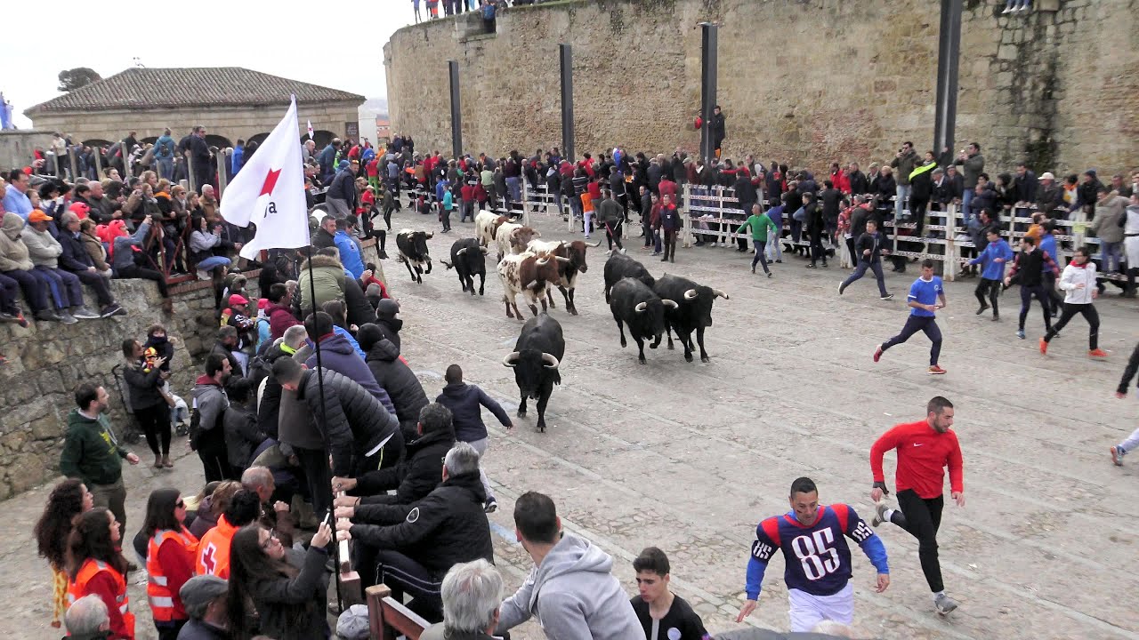 Ciudad Rodrigo 2019 Carnaval del Toro (lunes)