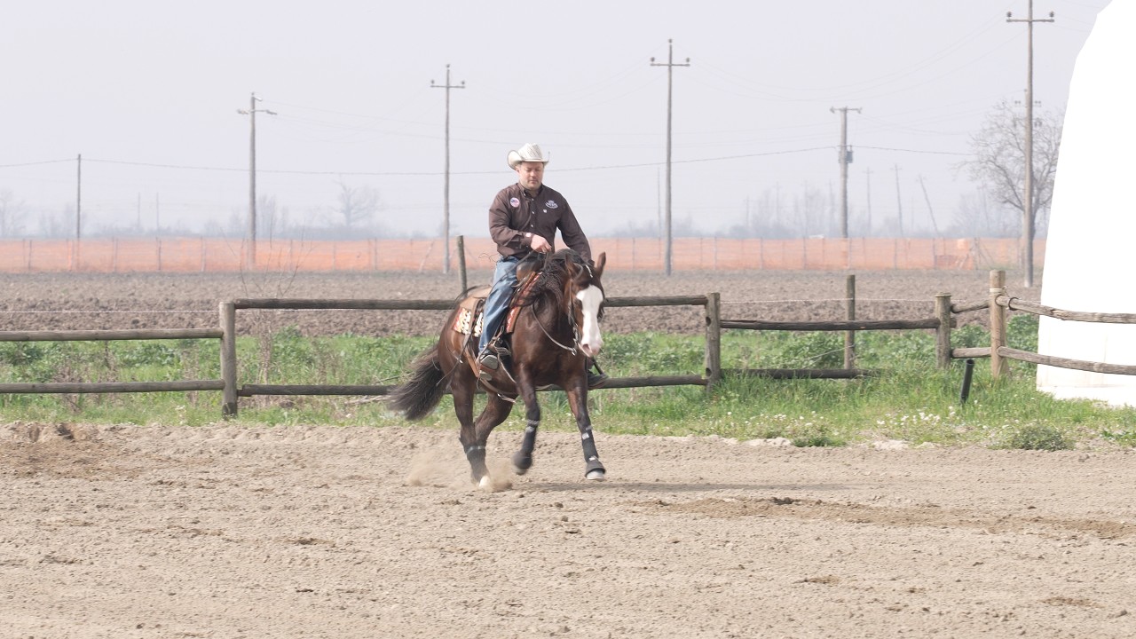 Al via la prima tappa della Lombardia Reining a Cremona Fiere
