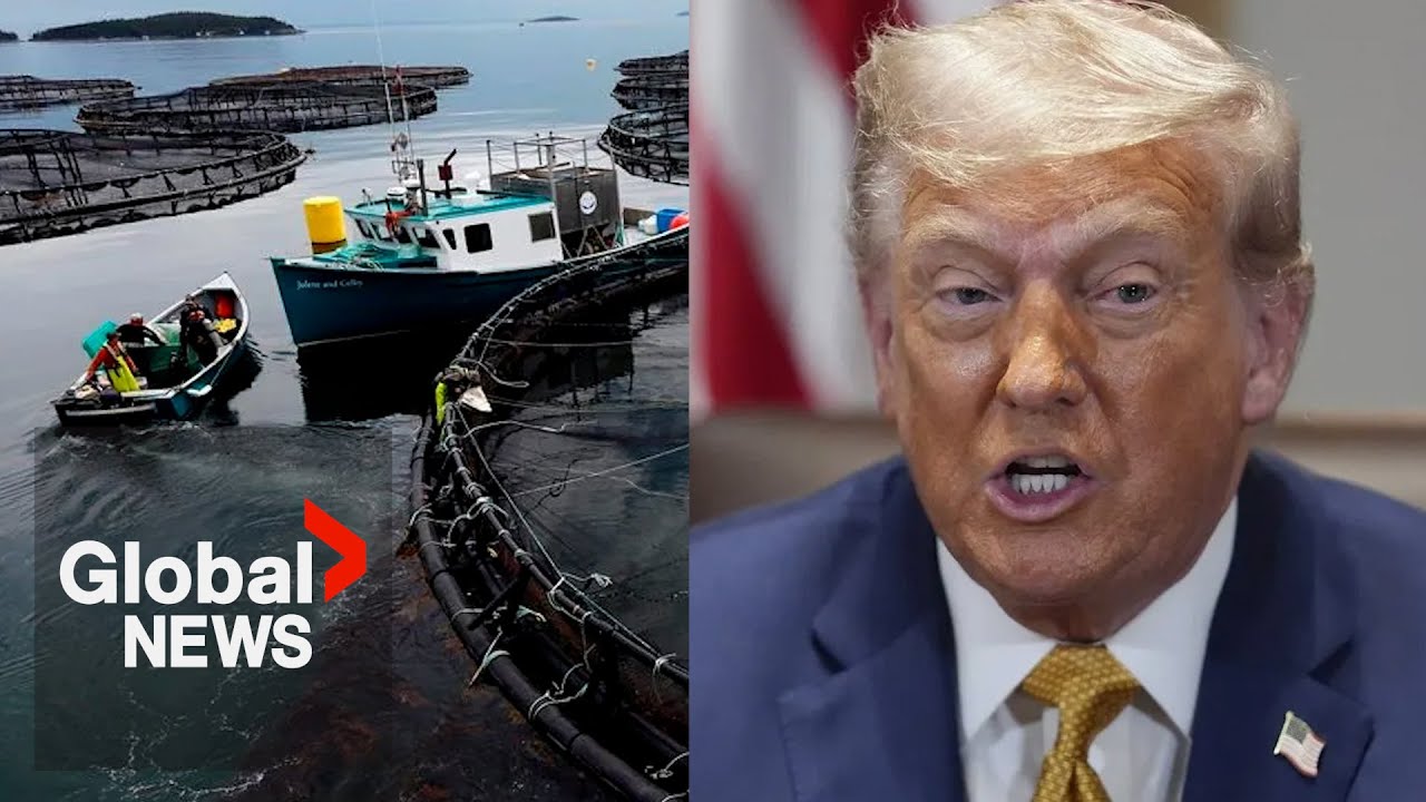 Trump targets New Brunswick seafood company with social media video