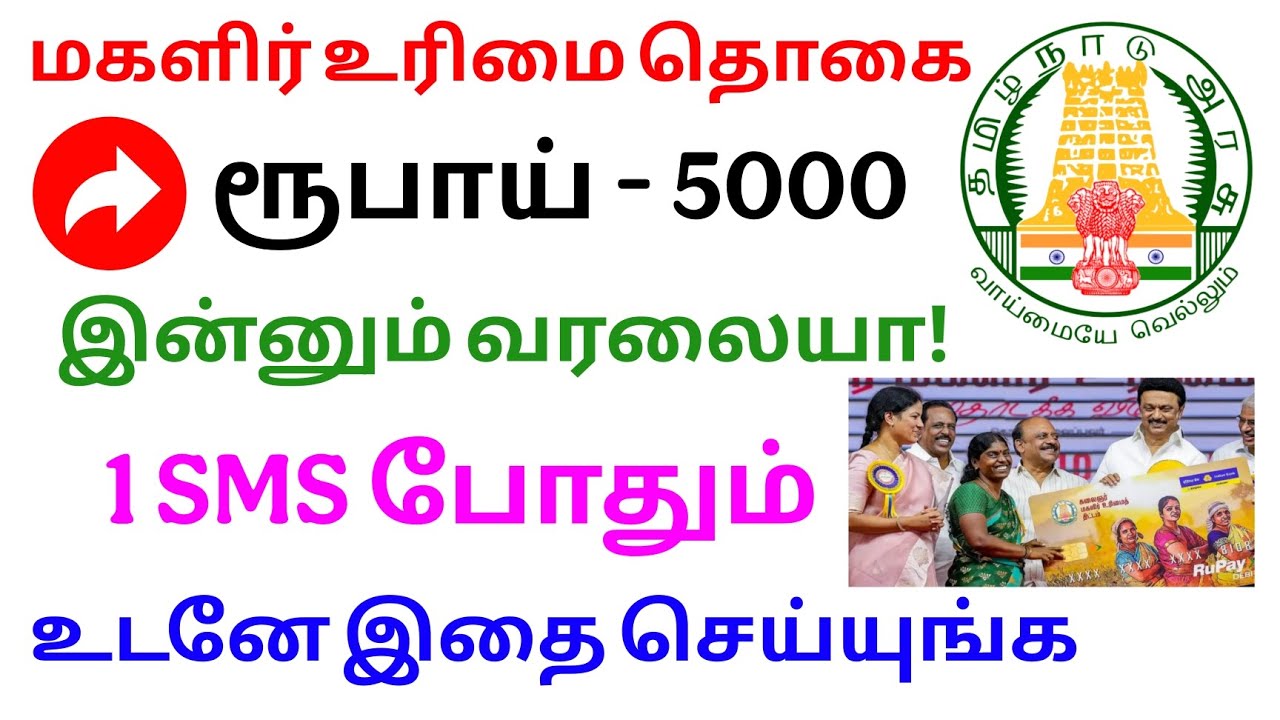 magalir urimai thogai bank balance check tamil | kmut scheme 5000 | Tricky world
