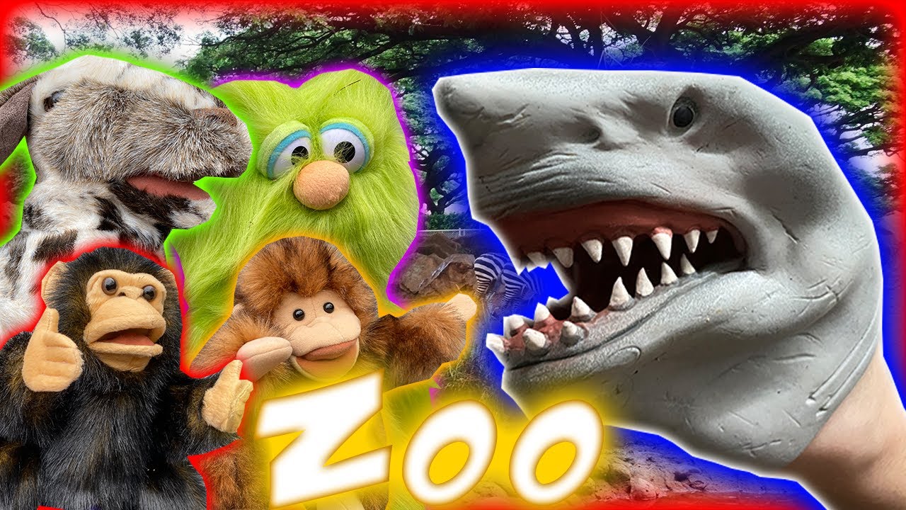 SHARK PUPPET GOES TO THE ZOO!!!!!