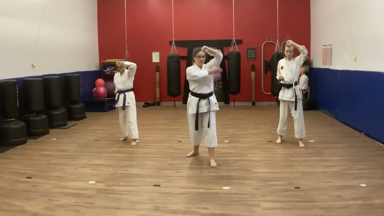 Seiyunchin Bunkai follow-along