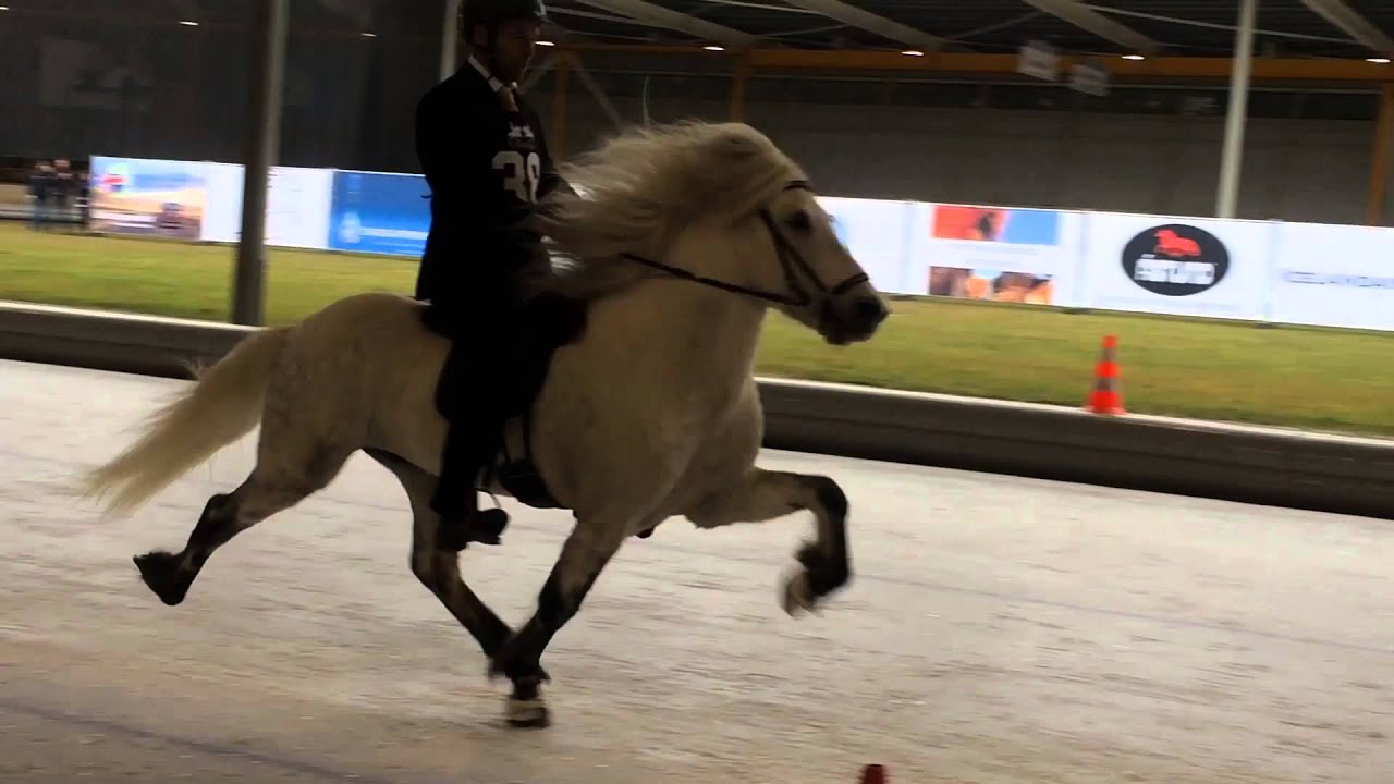 Ice Horse Eindhoven 2016