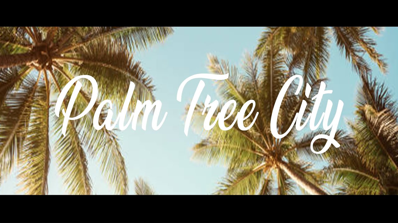 Chizzy_SA - Palm Tree City (Feat. Lwaistar & Zaybo)(Official Video)