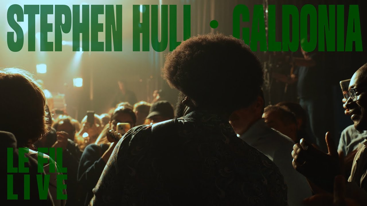 Stephen Hull - Caldonia (Louis Jordan)  - Chicago Blues Festival - Live au fil